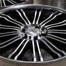 와일드인터내셔널 이미지