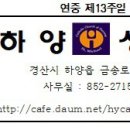 교황주일(연중제13주일) 이미지