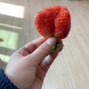 용원베스킨라빈스 앞 | 까치까치 설날은 어제께고요 오늘은 내 설날
