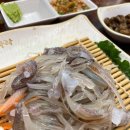 오징어나라 이미지