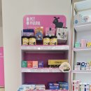 세종약국 이미지