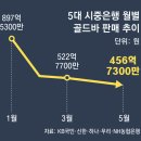 안전지대