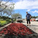 용봉슈퍼 이미지