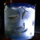 명지갯벌횟집 이미지