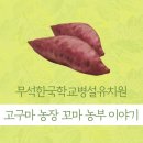 무석 농장 네이버블로그