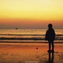 백양사 | 캐논 단렌즈 EF 50mm f1.2 L USM 사용 후기, 스냅 사진 렌즈 추천, 오이만두