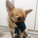 놀자