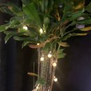 제우스 전기통닭 이미지