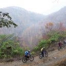 수산리-18 이미지