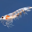 준성화학 이미지