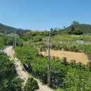 거제비치텔 이미지