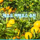 제주 유리의 성 이미지