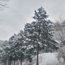 영락공원(주차장) 이미지