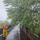 백운호수로 2길 이미지