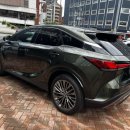 350 | 수입차 “렉서스 RX350” 내돈내산 후기!?