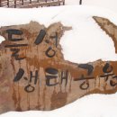 문성공원 Daum카페
