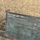 울동네축제 <언양읍성축제> | 울주 언양읍성 여행 코스 및 산책 코스로 추천