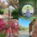 유신원 | 4월 전주 여행 코스) 전주 완산칠봉꽃동산 겹벚꽃 + 철쭉 개화 현황