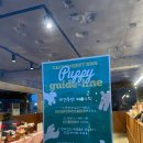 [리뷰] 담양 카페 냠냠냠 후기 내돈내산 애견동반카페