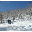 2월 대덕산 산행안내-시산제 이미지