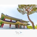 구림중학교 | 전남 여행 영암 가볼만한곳 월출산 도갑사, 기찬랜드, 왕인박사유적지 외 드라이브코스