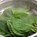 깻잎 싫어하던 가족도 먼저 찾습니다, 찜통에 5분 쪄 만드는 여름 반찬 이미지