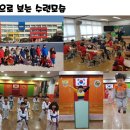 계명대 박사 현대태권도 이미지