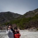 수아미르