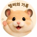 빅타운 | 수지구청역 카페, 레드빅 (테라스가 있는 카페)