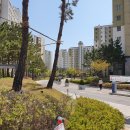 청라 롯데마트 앞 횡단보도 이미지