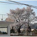 언맨드카페 네이버블로그