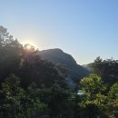 일출농원