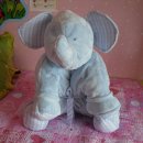 코끼리세탁 이미지