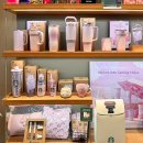 블라썸캣 이미지