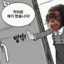 프리 라이프