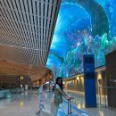 빅 스크린 | [하와이 신혼여행] 1일차 후기 (대한항공,빅아일랜드,에어비앤비,허츠,노을맛집)