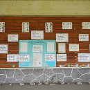 태평교 아래 천변 이미지