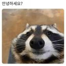 다이슨 에어랩 i.d.™ 멀티 스타일러 앤 드라이어 ..줄여서 ..다이슨 에어랩 id 후기 ^^