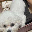대성여관 | 대만인데 나 엔클렉스보고왓어 얘들아 / 숙소 저스트인신이