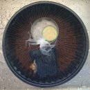 (주)마블앤조이 | 천고식(植)비의 계절이 오다.(8월 식쇼핑 후기)