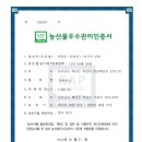 해남 애플망고 농장