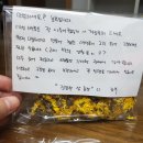 한삼농장 네이버블로그