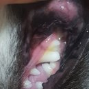 액티브라이프(ActiveLife) | 시그니처바이 스토모액트 액티브라이프 덴탈케어