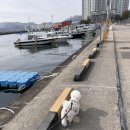 지누약국 이미지