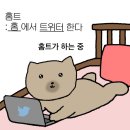 개미남 | 원도어의 할렐야루한 12월 결산 (미당 들어 미당 내려 미당 들지말고 미당올려)