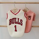 댕스토리 이미지