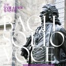 소토보체 이미지