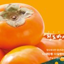 삼청농장 이미지