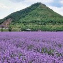 구제방법