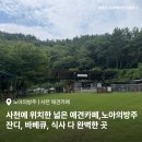 노아의 방주 | 사천 애견카페 노아의 방주 : 잔디도 넓고 식사도 가능한 애견 카페